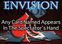 ENVISION - PDF Download